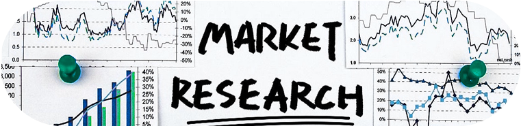 Market Research and Strategic Planning