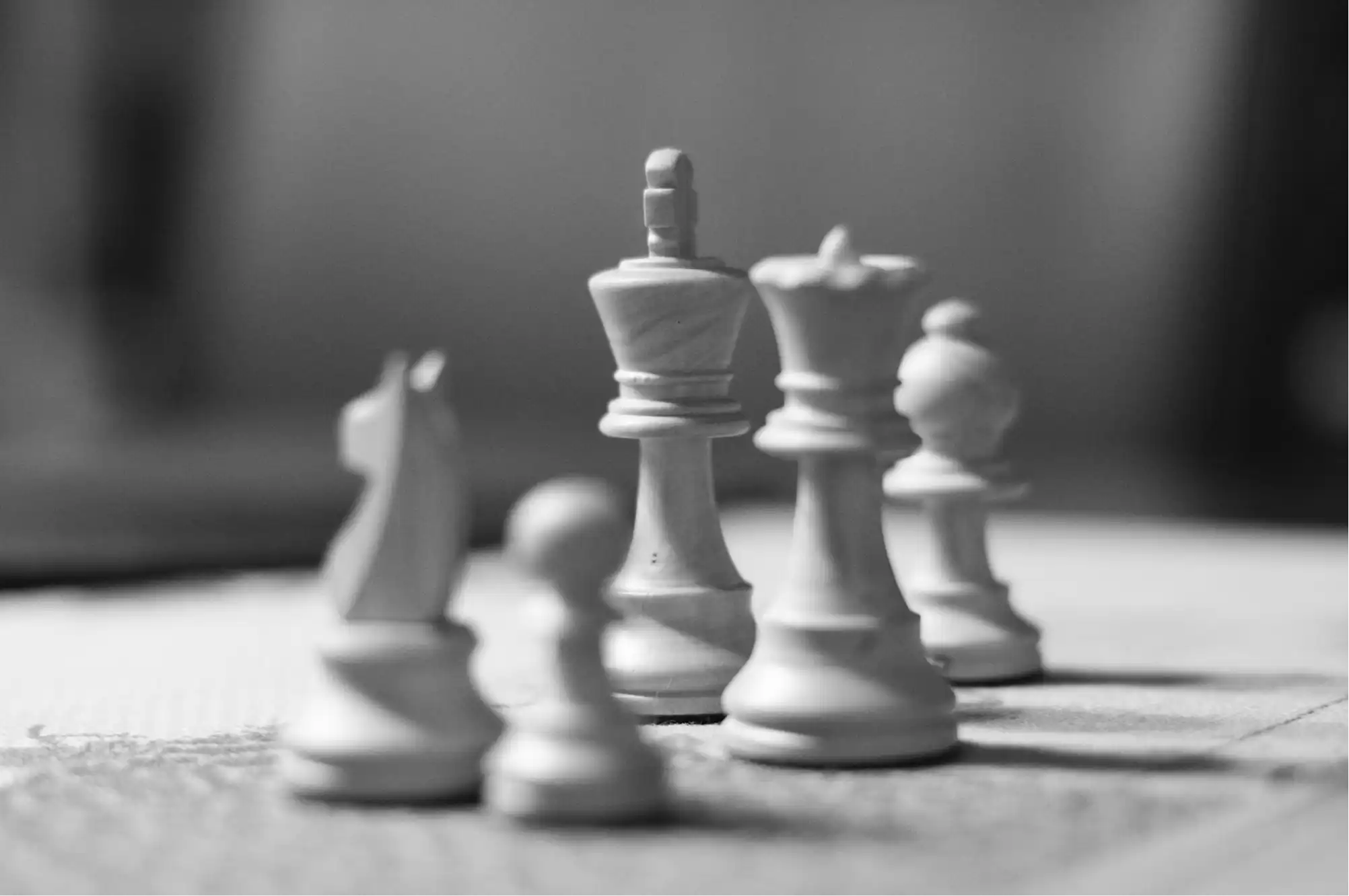 blog 8