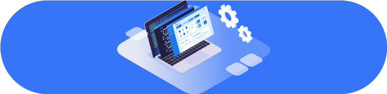 custom software development